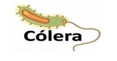 Cólera p. 32 É causada pelo Vibrio cholerae (vibrião colérico).