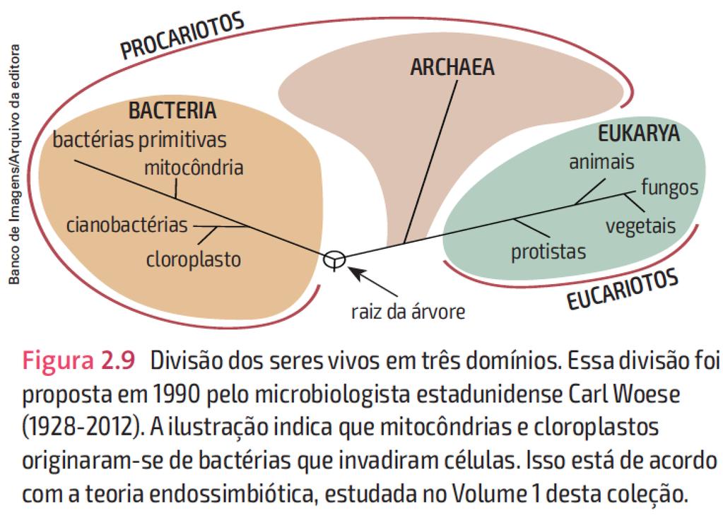 3 No sistema de 5 reinos as bactérias fazem parte do reino Monera.