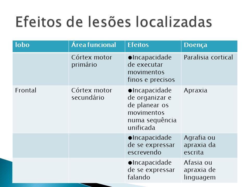 Efeito de lesões Apraxias dificuldade de