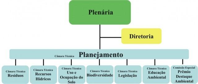 Conselho Ambiental em Piracicaba Funcionamento Reuniões Ordinárias mensais; Diretoria composta por Presidente, Vice-Presidente e