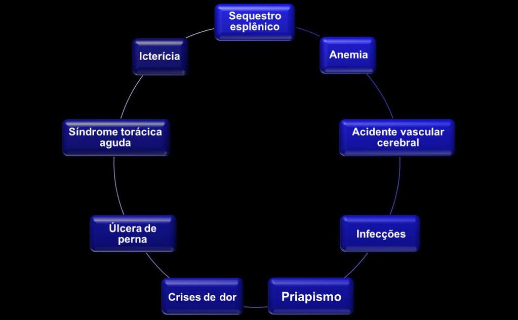 Doença Falciforme - Brasil Doença Falciforme MA 1:1400 PE 1:1400 GO 1:1800 BA 1:650 MG 1:1400 Anemia Falciforme (Hb SS) Casos estimados: