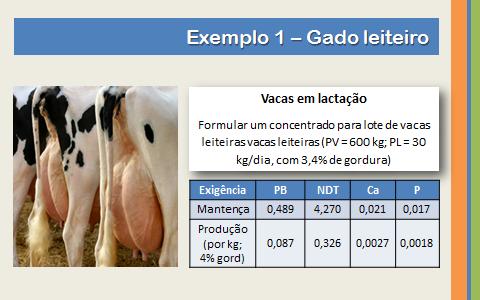 Vacas leiteiras de alta produção (PV = 600 kg; PL = 30 kg/dia, com 3,4% gord) Alimentos disponíveis: