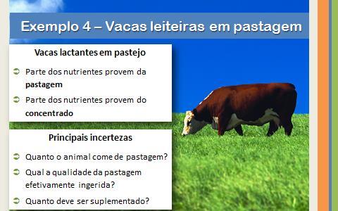 10 Exemplo 4- Concentrado suplementar para vacas leiteiras em pastejo Alimentos disponíveis: milho, farelo de algodão, farelo de