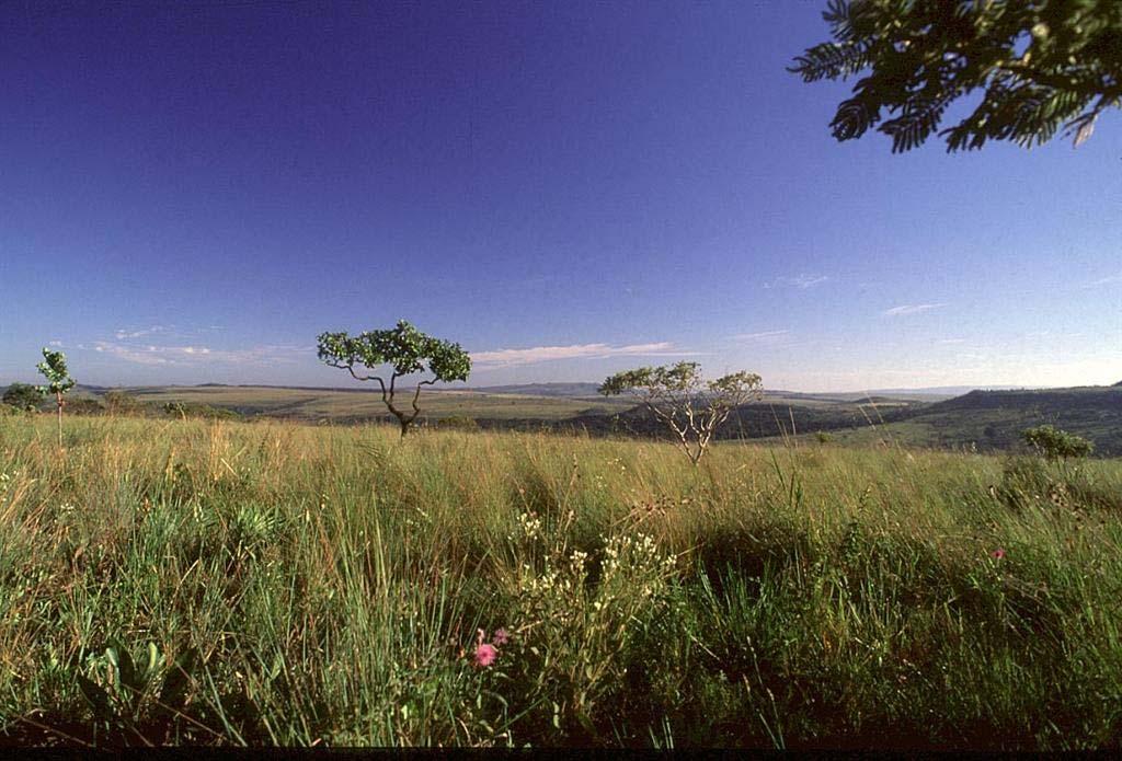 Dimensões de Goiás comparadas - 2006