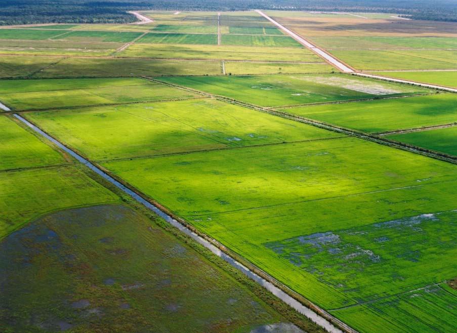 mil hectares Projeto de Irrigação Flores de Goiás Recursos Hídricos Rio Paranã e