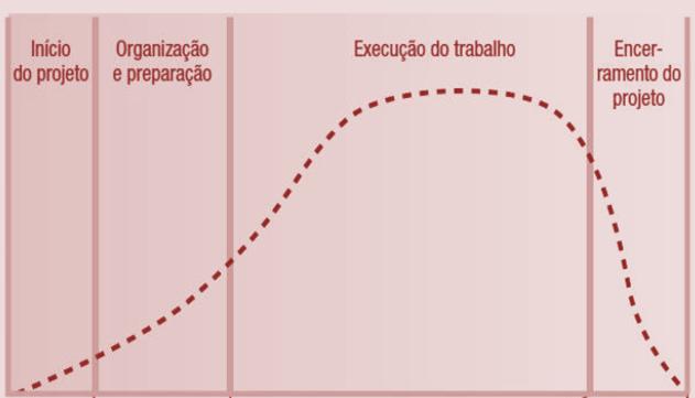 PMBOK Maximiano Menezes: Conceitual,