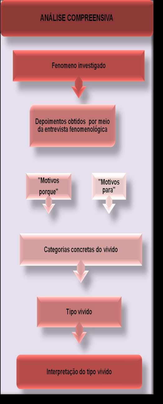 Figura 1: Esquema representativo da organização e análise dos dados da