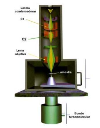 58 Por meio de um canhão eletrônico, um feixe de elétrons é conduzido de uma fonte emissora (eletrodo negativo) para a amostra. Um filamento capilar de tungstênio gera o feixe.
