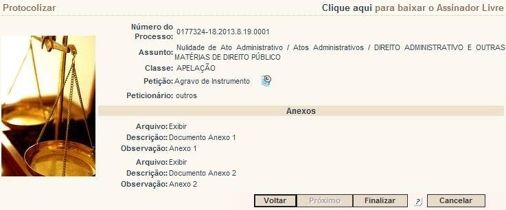 Antes de clicar no botão Finalizar, confirme os dados cadastrados. Figura 28 - Confirme os dados cadastrados e clique em Finalizar.