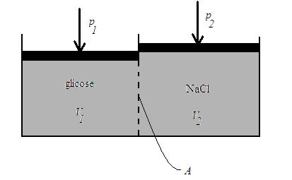 a) Qual é a condição para que haja equilíbrio do fluxo de volume de água entre os dois compartimentos, Φ V = 0?