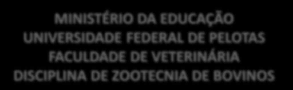 UNIVERSIDADE FEDERAL