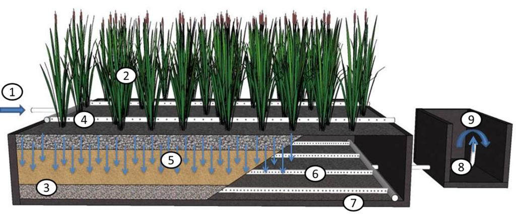 Wetlands subsuperficial Vertical -WCFV 1) afluente; 2)macrófitas; 3)material filtrante; 4) tubulação de