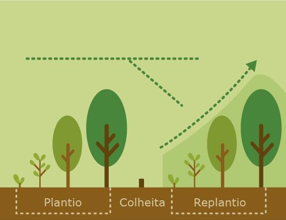 Sequestro de Carbono O que é?