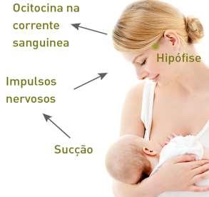 Para que esse processo possa ser revertido. o incentivo para o aleitamento natural deve ser iniciado desde o pré-natal e continuado durante todos os atendimentos prestados à criança e à mãe.