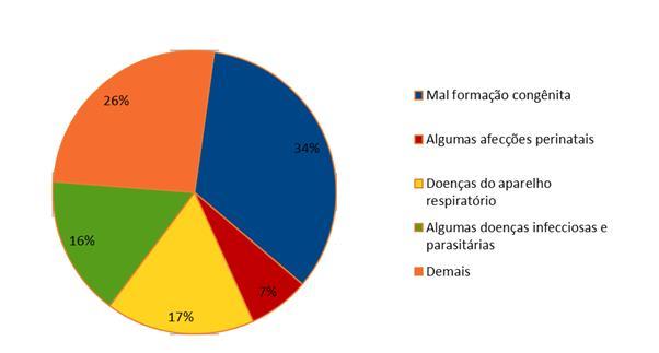 Gráfico 4: Principais causas de óbitos entre pós-neonatos DISCUSSÃO Os óbitos neonatais estão relacionados com as condições de vida e saúde da mulher, assistência prestada durante a gestação, parto,