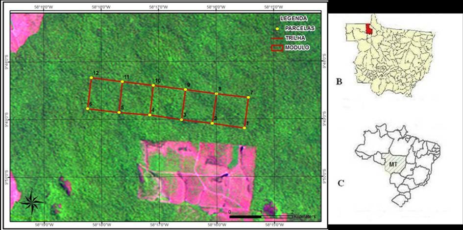 11 Figura 1. Localização do estado de Mato Grosso (C) município de Cotriguaçu, Mato Grosso (B) e da área amostral do PPBio (A).
