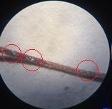 Figura 6: Microscopia óptica da fibra de coco tratada com solução de 30% Caulim e amido modificado com proporções de 10%, 7% e 5%,