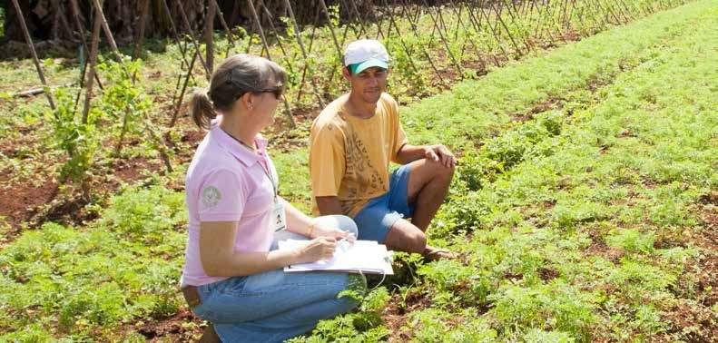 Beneficiários Agricultor Familiar Pecuaristas Pescadores artesanais Aquicultores