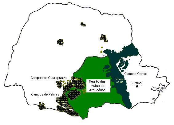 Figura 2 - Área de distribuição da Floresta Ombrófila Mista com ocorrência de faxinais. Fonte: Albuquerque (2005).