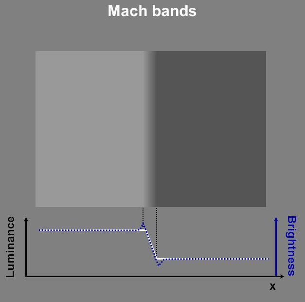 Bandas de Mach, intensidades