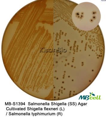 Agar SS Shigella Salmonella O tiosulfato de sódio e o citrato férrico permitem a detecção da produção de sulfeto de hidrogénio como se pode