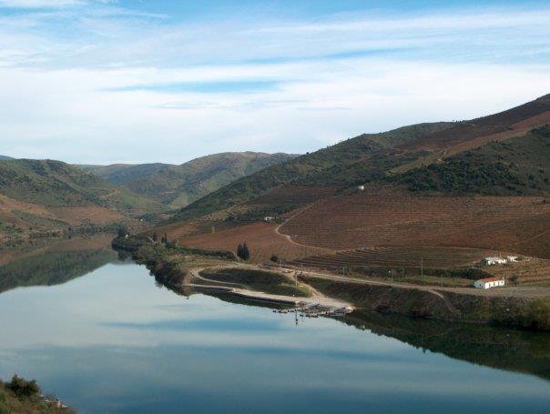 Valle do Nídeo O VALLE DO NÍDEO Douro DOC é parte de um projecto empresarial iniciado em 1941 por Hermínio Augusto Abrantes com a aquisição da Quinta do Daniel, localizada na povoação de Pocinho,