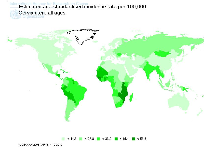 Vacinas contra HPV Incidência de câncer de colo do útero disponibilidade e custeio HPV Vaccines A Global View of