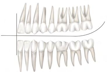 NOTAÇÃO DENTÁRIA É a indicação prática (representação ou registro) do dente e sua localização no arco dentário. Pode ser feita de duas maneiras: 3.10