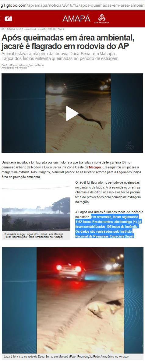 Figura 5 Reportagem sobre as