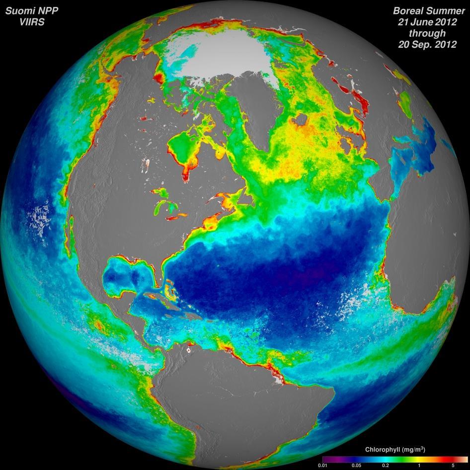 VIIRS and Ocean Science Ocean Chlorophyll Concentrations Sea Surface Temperature This image shows seasonlong composites of ocean