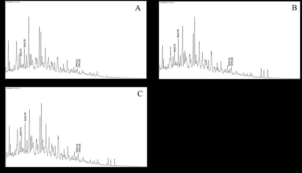 Figura C 21 - Cromatogramas de massas do íon 259.