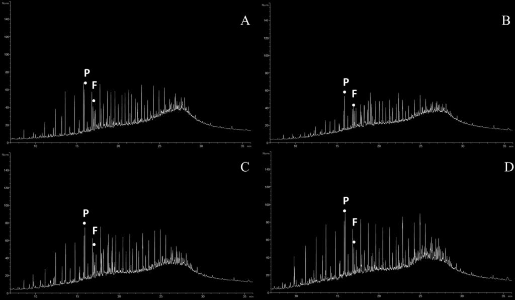Figura B 3 - Cromatogramas das amostras A- Amostra 3.
