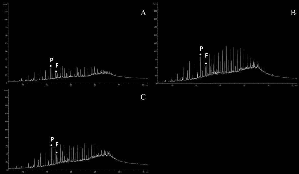 Figura B 7 - Cromatogramas das amostras A-
