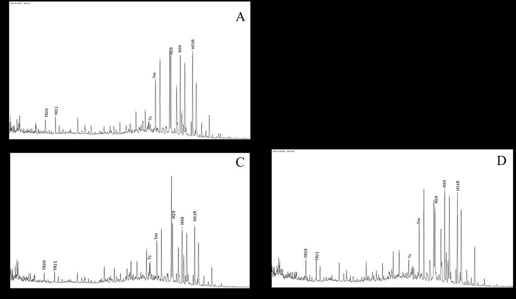 Figura C 6 - Cromatogramas