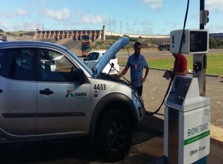 resíduos orgânicos que podem ser transformados em bioenergia.