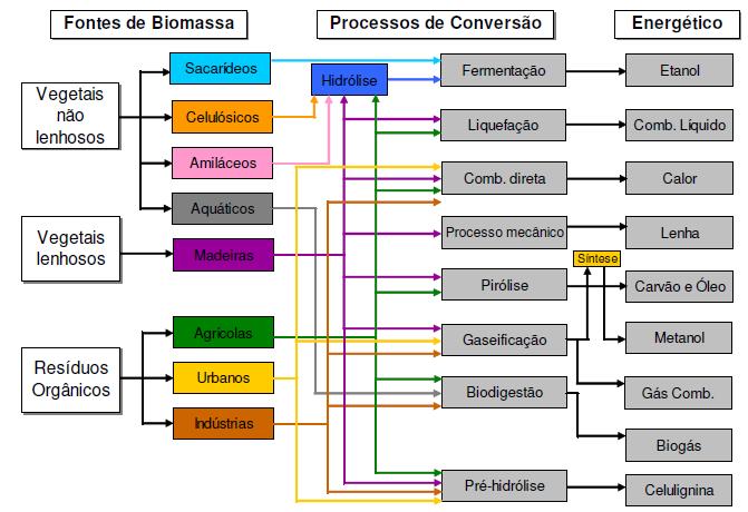 Processos de Conversão Energética Biológicos Físicos Conversão