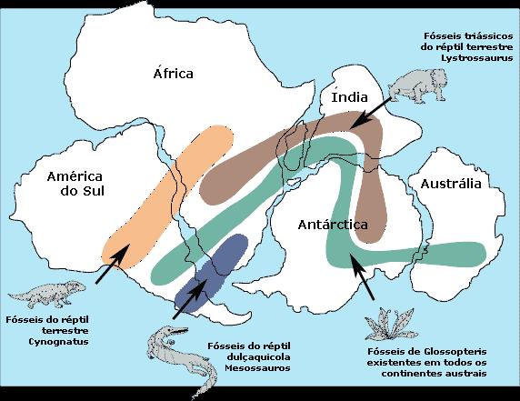 Paleontológicos: - O registo fóssil encontrado nos continentes sugere que outrora estes se encontravam unidos.