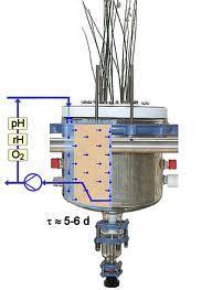 Introdução O Planted Fixed Bed Reactor (PFR) foi desenvolvido como unidade para testes em solos plantados em escala laboratorial.