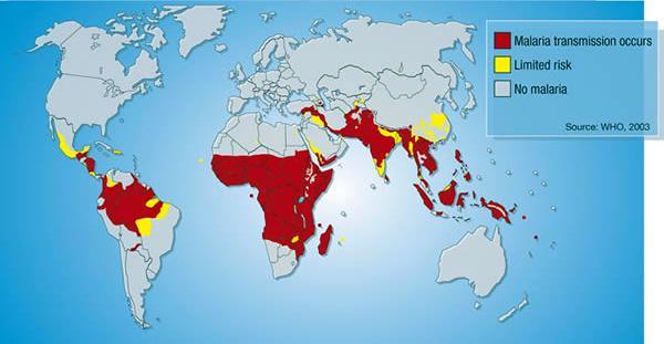 Incidência da Malária no Mundo 300 500 milhões de casos / ano 1-3 milhões de óbitos / ano Mulheres