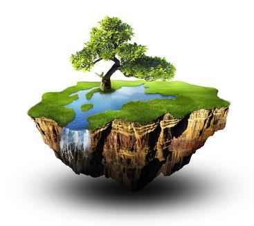 Meio Ambiente Todos têm direito ao meio ambiente ecologicamente equilibrado, bem de uso comum do povo e essencial à sadia