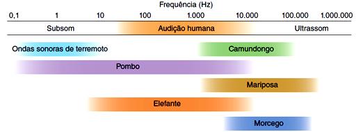 Propagação do som A qualidade de uma aula pode não depender apenas das metodologias e dos recursos didáticos utilizados pelo docente, pois existem fatores intrínsecos à sala de aula (arquitetura,