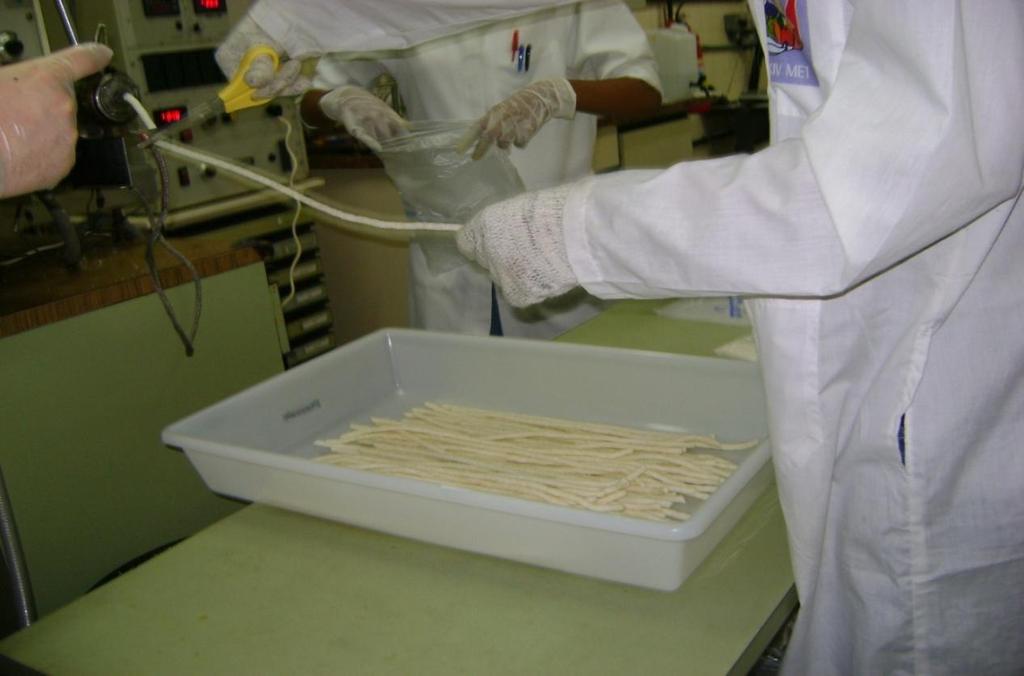 Figura 3. Extrudados expandidos de arroz e farinha da casca do maracujá coletados durante o processo de extrusão termoplástica (Créditos: Carla da Silva Teba).