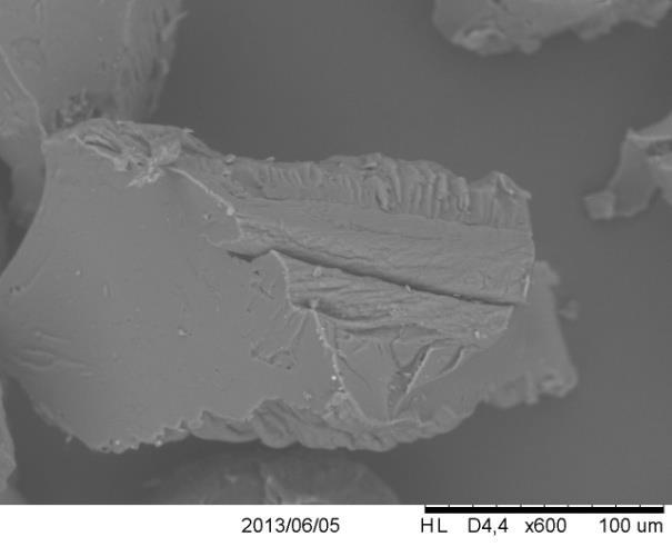 Micrografias obtida por MEV de farinha de arroz branco polido, aumento de 100x