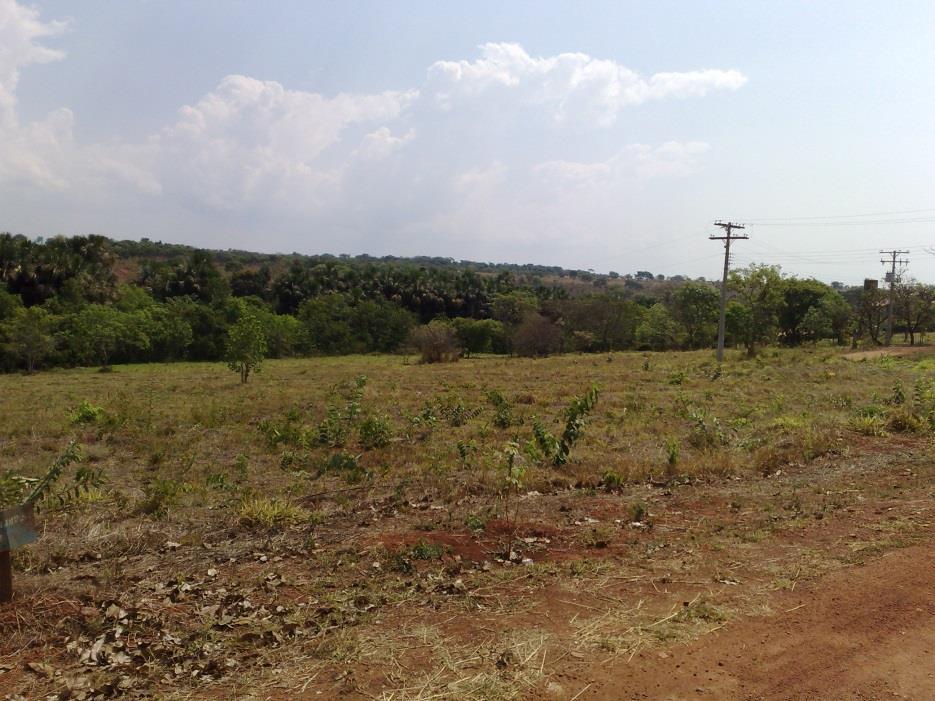 TERRENO DO ESTADO NATURAL PARA