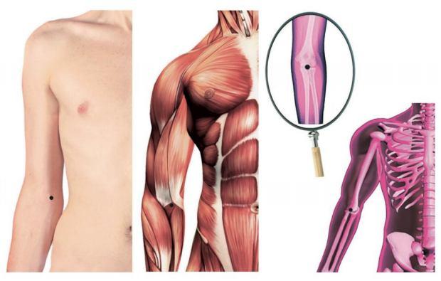 Pontos CS3 - QUZE - "CURVA DO PANTANO Localização: na prega transversal cubital, ao lado ulnar do tendão do músculo bíceps braquial.