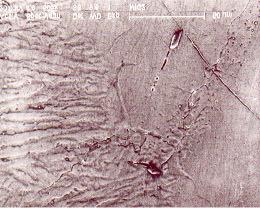 Como é ilustrado na Figura 7 observa-se as microtrincas, que tem entre 150 e 200 µm de extensão alongando-se intergranularmente entre a zona de ligação e