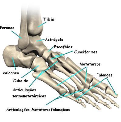 Fractura da base do 5º Metatársico: Lesão frequente Após entorse do tornozelo