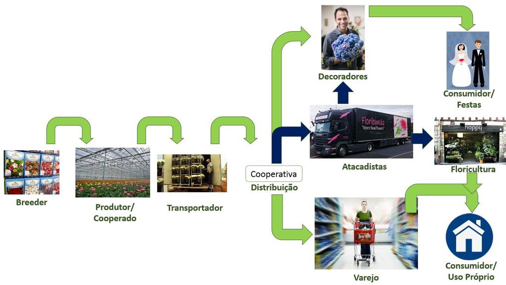 Figura 2 Cadeia de valor da Cooperativa Fonte: Elaborado pelos autores, com base na empresa-caso. 4.