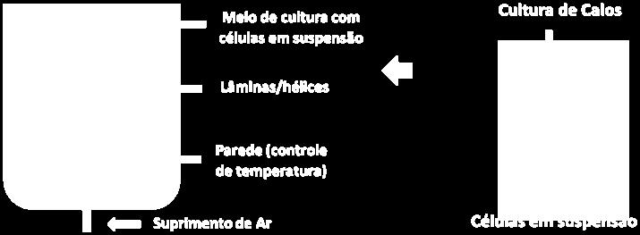 FCL, Assis, os quais contribuíram significativamente para o desenvolvimento