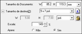 6. Para usar ferramentas adicionais de dimensionamento, clique em + (Windows) ou no ícone (Mac OS X) ao lado da configuração de tamanho do alvo e selecione as opções conforme desejado.